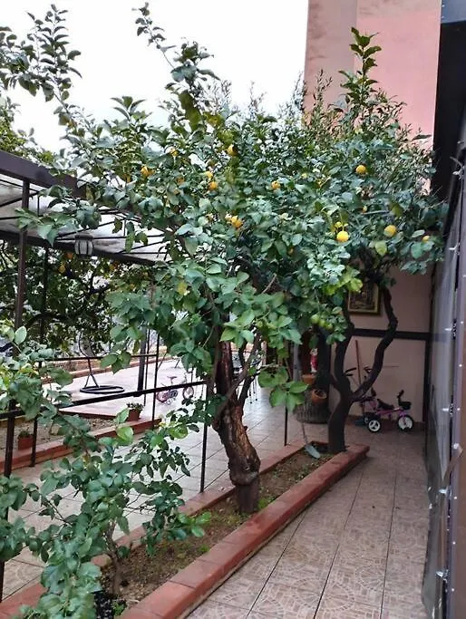 Apartment La Casetta Dei Limoni Palermo Italy